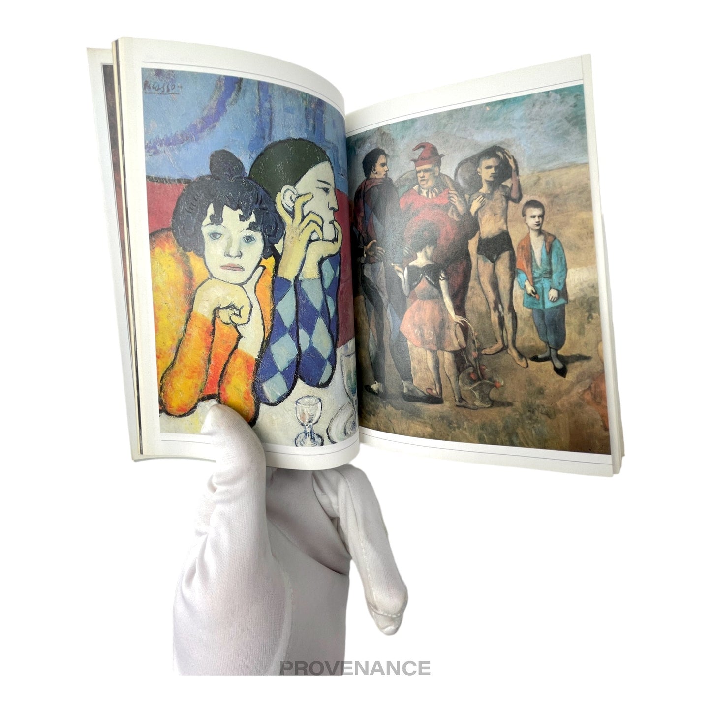 🔴 Picasso le sage et le fou JDM Art Book