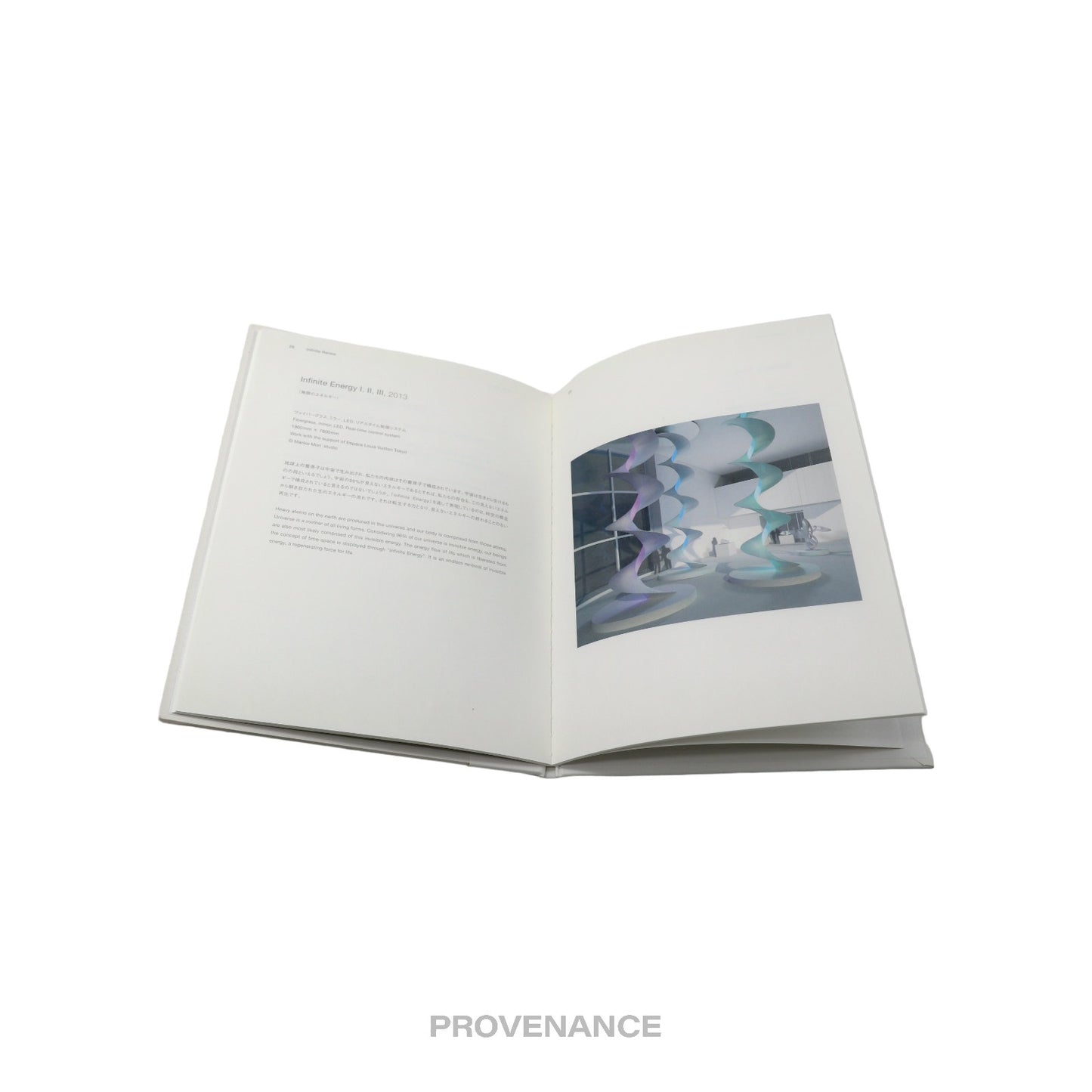 🔴 Louis Vuitton INFINITE RENEW Espace Art Book