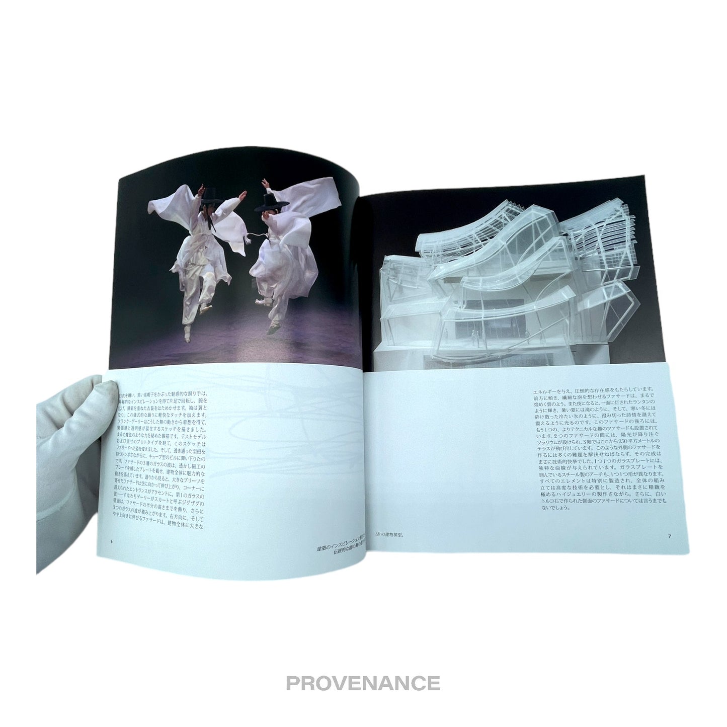 🔴 Louis Vuitton The Book #11