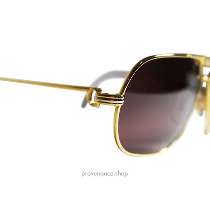 Cartier Vintage Tank Louis Sunglasses